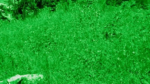 Night Vision of Element of Ancient Human Petrified Giant Presentation Stock Footage 127502732