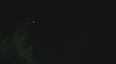 Night vision gun  Video stock 459425