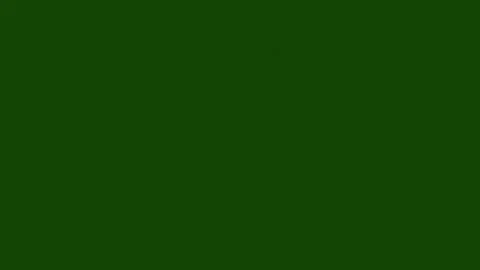 night vision green