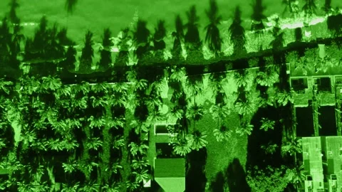 Night vision by the sea Stock Footage 233236221