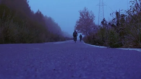 Night Walk on Forest Road Stock Footage 70790830