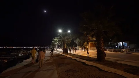 Night walk by the sea Stock Footage 125100481