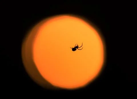 The night walker Stock Photos