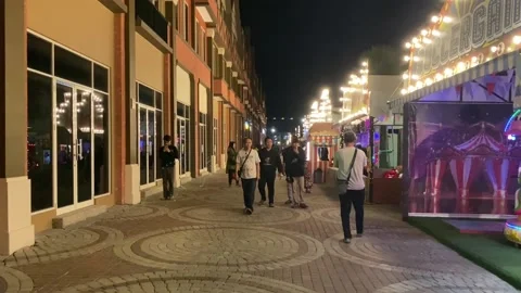 Night Walking #1 Stock Footage 236517833