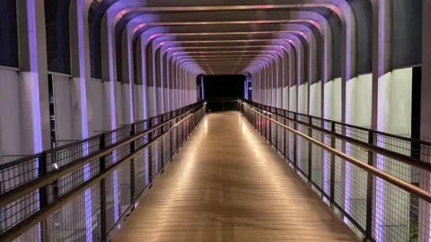 Night Walking #12 Stock Footage 236517488