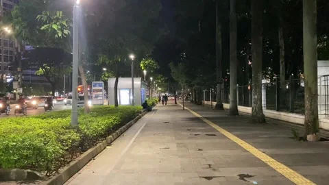 Night Walking #14 Stock Footage 236517454