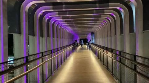 Night Walking #15 Stock Footage 236517453