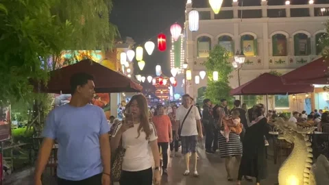 Night Walking #2 Stock Footage 236517776