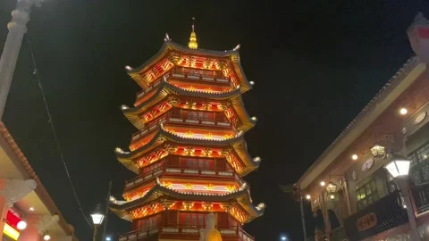 Night Walking #4 Stock Footage 236517750