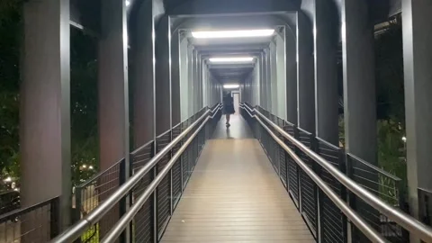 Night Walking #9 Stock Footage 236517580