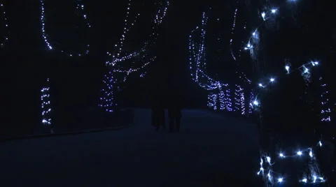 Night Walking Stock Footage 1039342