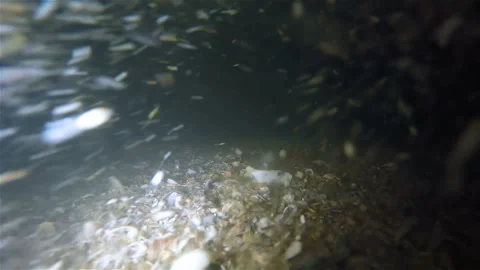 Night waves on the beach Stock Footage 100663310