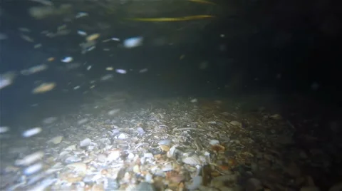 Night Waves On The Beach Underwater 動画素材 55064431