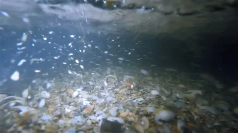 Night Waves On The Beach Underwater 스톡 동영상 55064517