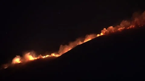 Night Wildfire Burning on the Slopes of Suva Planina Mountain, Serbia  Stock Footage 344740763