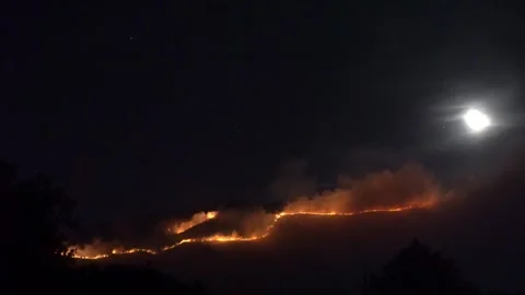 Night Wildfire Burning on the Slopes of Suva Planina Mountain, Serbia  Stock Footage 344742904
