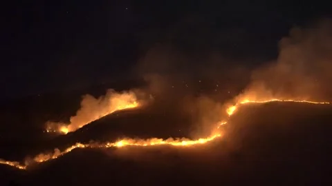 Night Wildfire Burning on the Slopes of Suva Planina Mountain, Serbia  Stock Footage 344742913