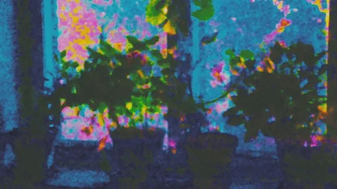 Night windowsill flowers Stock-Footage 92838489