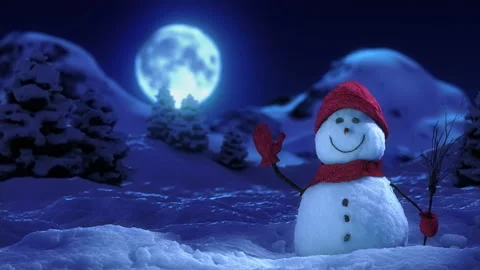 Night winter background with snowman in front Stock-Footage 223164813