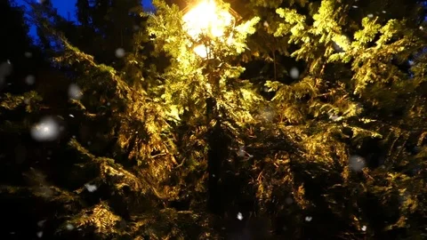 Night winter lantern in the forest Stock Footage 89756716