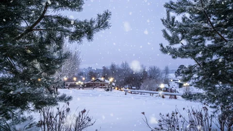 Night winter park in snowfall. Lighting from a lamppost. Cinemagraph, video loop Stock Footage 229499778