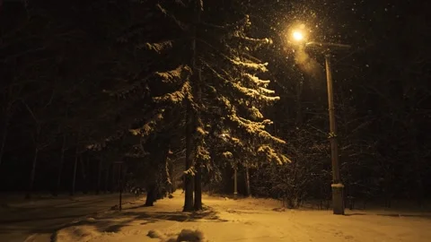 Night winter park in snowfall. Yellow lighting from a lamppost Stock Footage 284948378