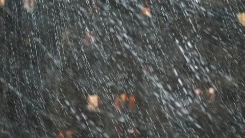 Night Winter Street Lamp With Falling Snow. Vidéo 146692796
