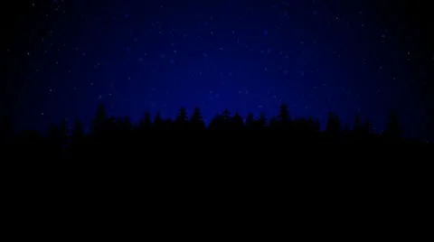Night wood Stock Footage 10590328