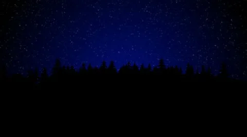 Night wood Stock Footage 10591564