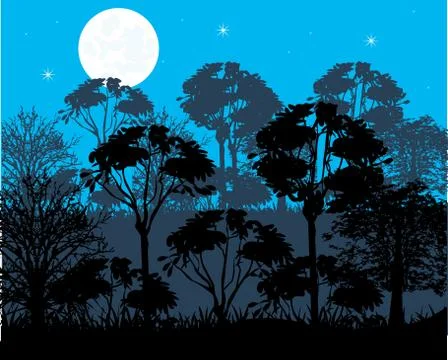 Night in wood Stock Illustration