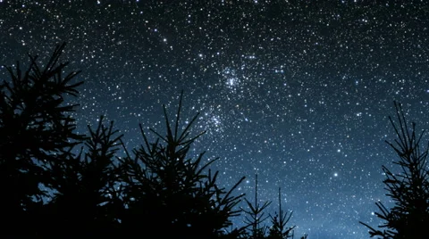 Night in the woods Stock Footage 41120300