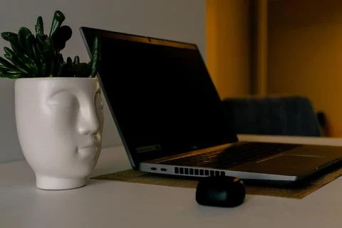 Night work at computer setup. Flower and blank screen. Freelance and business Stock Photos