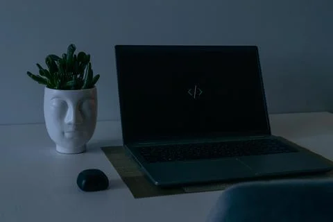 Night work at computer setup. Flower and blank screen. Freelance and business 库存照片