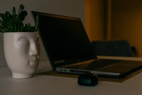 Night work at computer setup. Flower and blank screen. Freelance and business Stock Photos