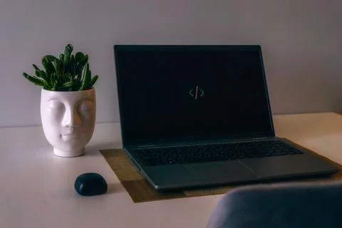 Night work at computer setup. Flower and blank screen. Freelance and business Stockfoto's