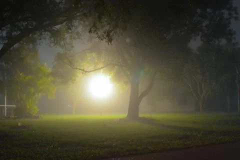 A night yard Stock Photos