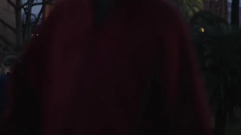 Nightfall in Buenos Aires Stock Footage 314482951