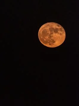 Nightfall with a full moon . Stock Photos