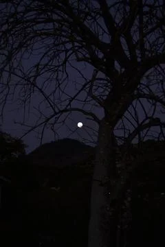 Nightfall Stock Photos