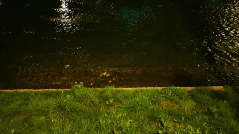 Nightfall by the River Stock-Footage 296617471