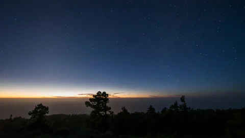 Nightfall with tree silhouettes Stock Footage 204751957