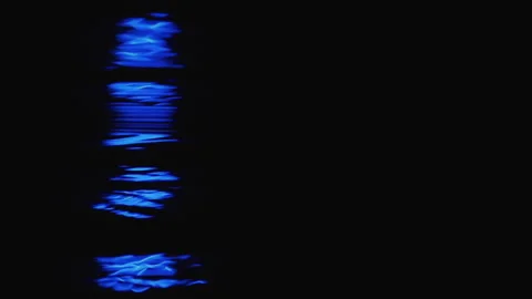 NIGHTIME BLUE DOCK LIGHTS DANCING REFLECTION MESMERIZING RACK FOCUS Stock Footage 202052573