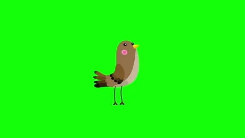 Nightingale bird brown character simple move green screen Stock Footage 249570462