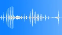 Nightingale Bird Singing SoundSound Effect