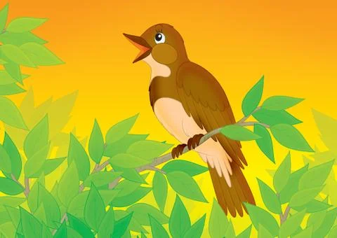 Nightingale Stock Illustration