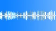 Nightingales Singing Close PerspectiveSound Effect