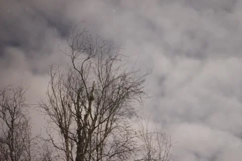 Nightlapse Stock Footage 218640862