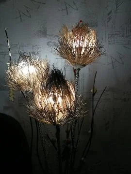 Nightlight Stock Photos