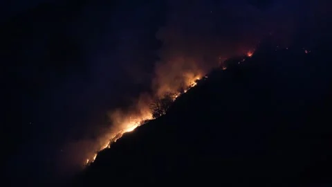 Nightly bush fire Stock Footage 240524803