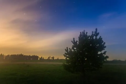 Nightly landscape Stock Photos
